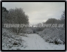 Magical Snow