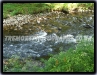 River Rapids
