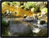 Rolling Brook
