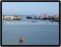 Harbour Scene