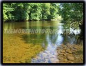 The Shallow River