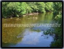 Reflecting River