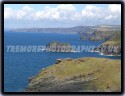 Cornish Coastline