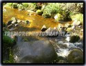 Rolling Brook